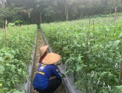 Satbinmas Polres Lamandau Ajak Warga memanfaatkan, Dukung Program Ketahanan Pangan