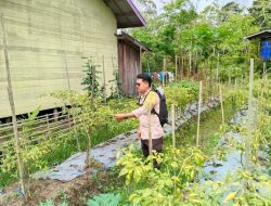 Mendukung Ketahanan Pangan, Personil Polsek sanaman mantikei Cek Lokasi Pemanfaatan Pekarangan Warga.
