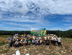 Bhabinkamtibmas Bersama Karyawan Perusahaan Panen Jagung bersama di PT. Pilar Wanapersada