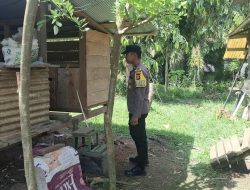 Dukung Ketahanan Pangan, Bhabinkamtibmas Cek Budidaya Ayam kampung