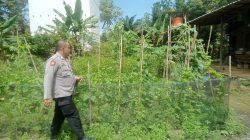 Dukung Ketahanan Pangan, Bhabinkamtibmas Polsek Bulik Silaturahmi ke masyarakat terkait Program Asta Cita Presiden RI