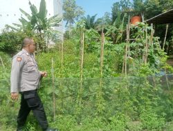 Dukung Ketahanan Pangan, Bhabinkamtibmas Polsek Bulik Silaturahmi ke masyarakat terkait Program Asta Cita Presiden RI