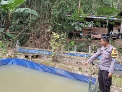 Dukung Ketahanan Pangan, Bhabinkamtibmas Cek Budidaya Ikan Nila