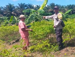 Dukung Ketahanan Pangan, Bhabinkamtibmas Polsek Bulik Silaturahmi ke masyarakat terkait Program Asta Cita Presiden RI